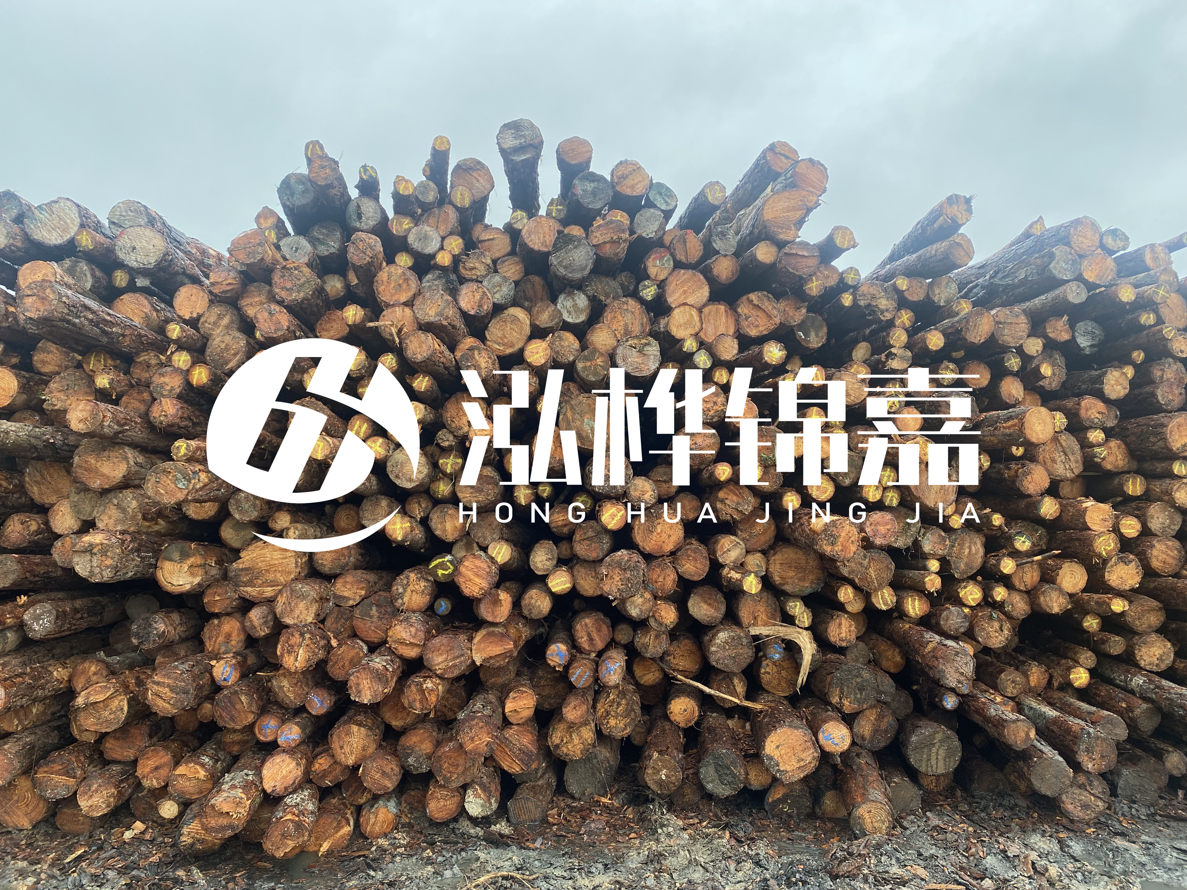 松木樁的直徑一般取多少？