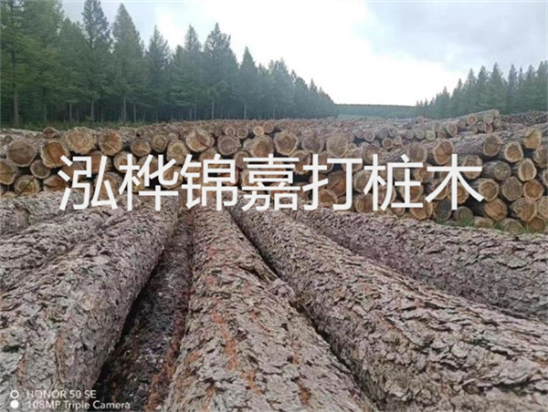 高效施工，圓松木樁助力建筑工程進展順利
