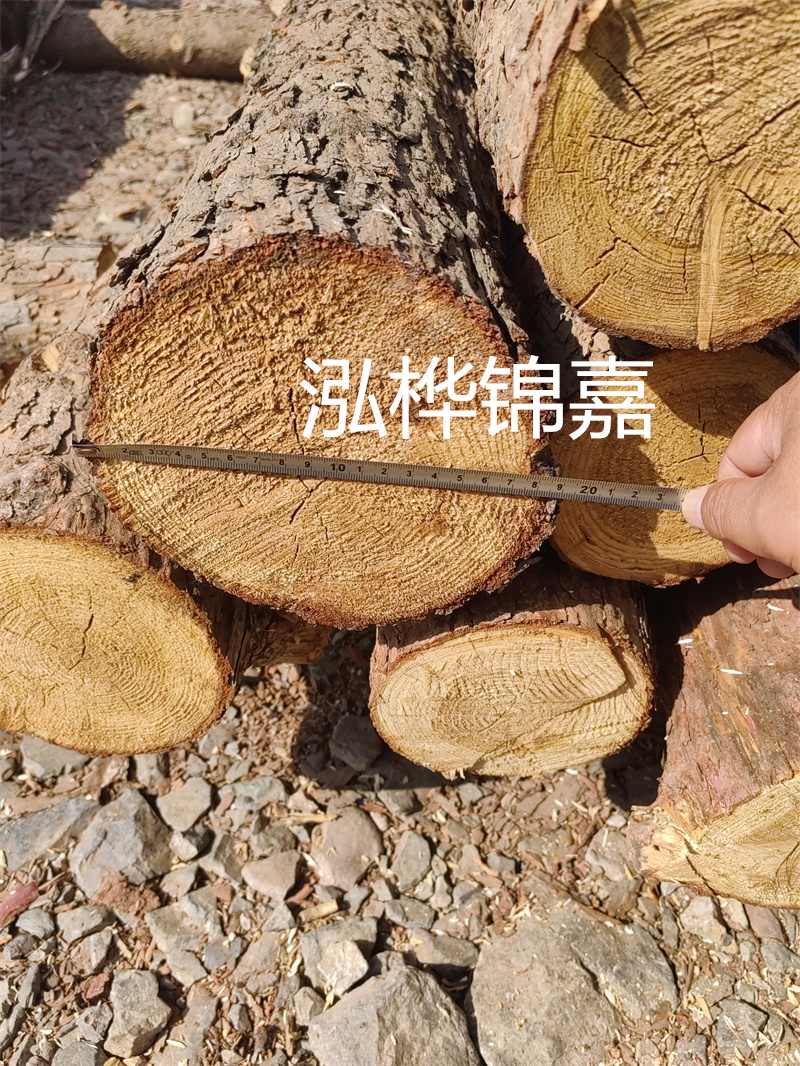 松木樁想要做哪些檢驗批